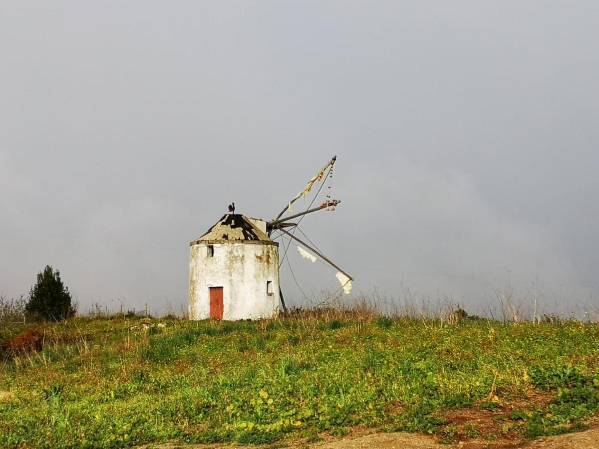 Feather House São Bartolomeu Eksteriør billede